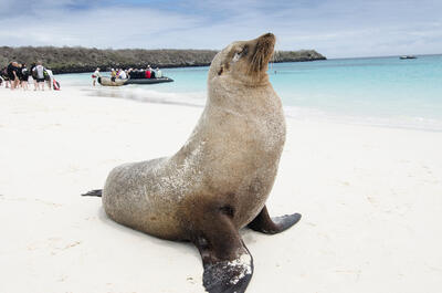 Galápagos-Excursion-Celebrity